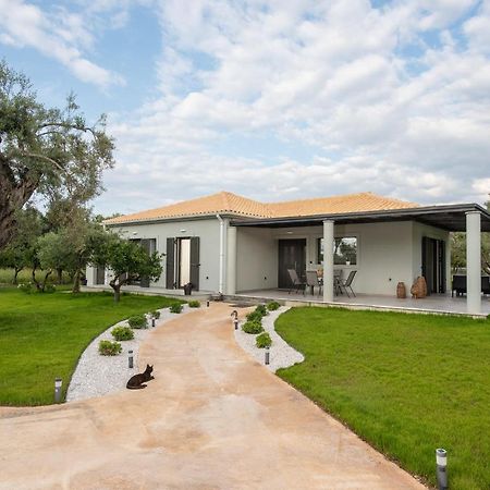 Aerinos Private Villa Lefkada City Exterior photo
