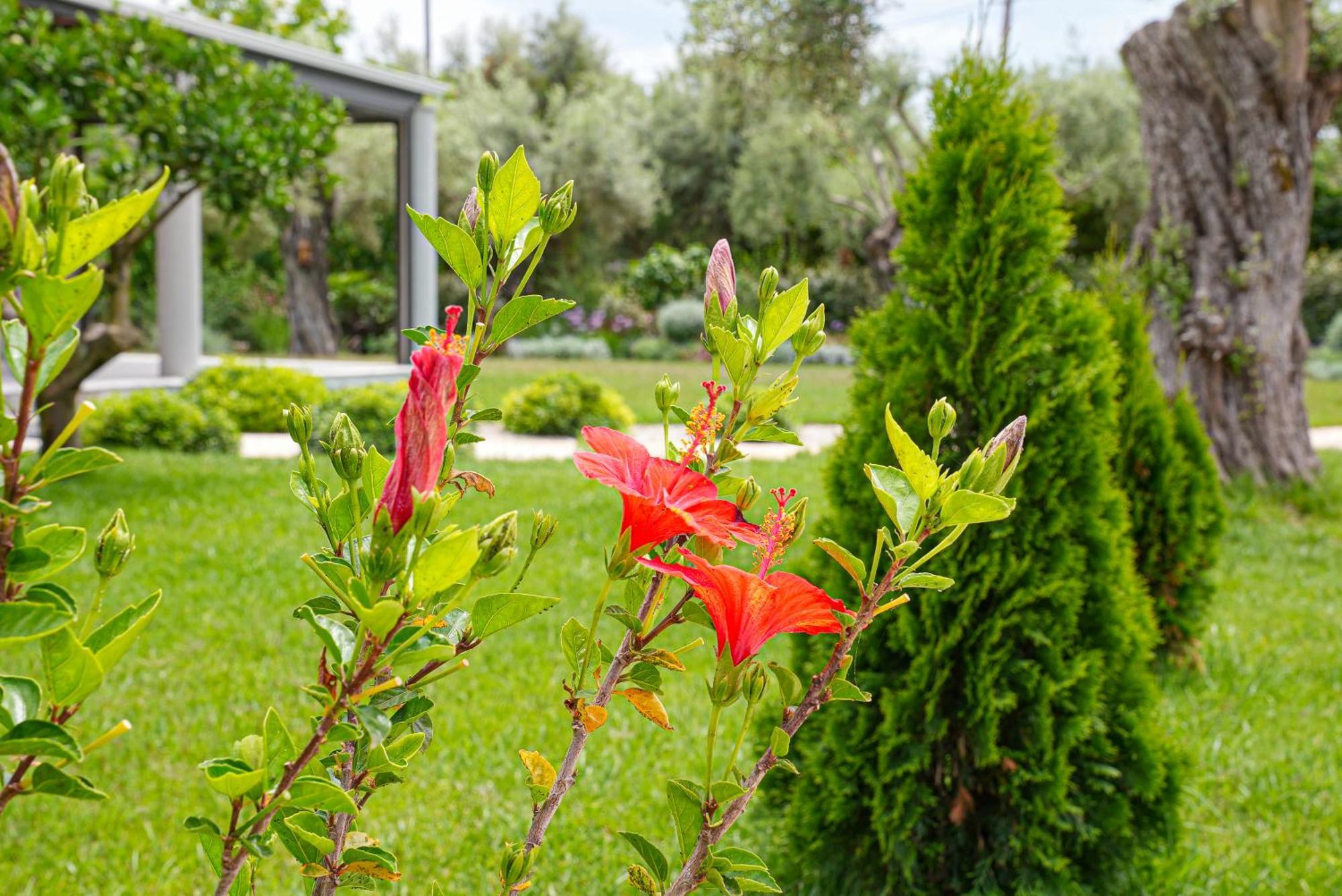 Aerinos Private Villa Lefkada City Exterior photo